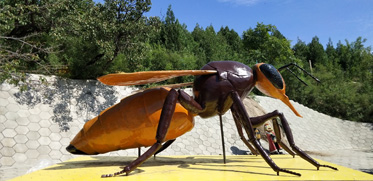 北京天寶康高新技術(shù)開(kāi)發(fā)有限公司