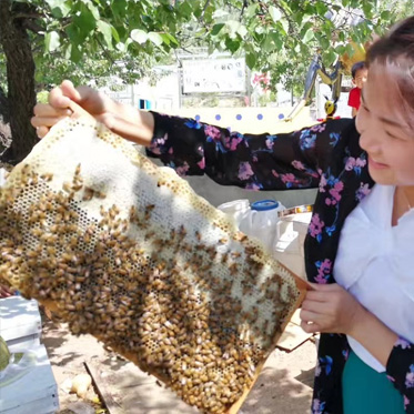 北京天寶康高新技術(shù)開(kāi)發(fā)有限公司