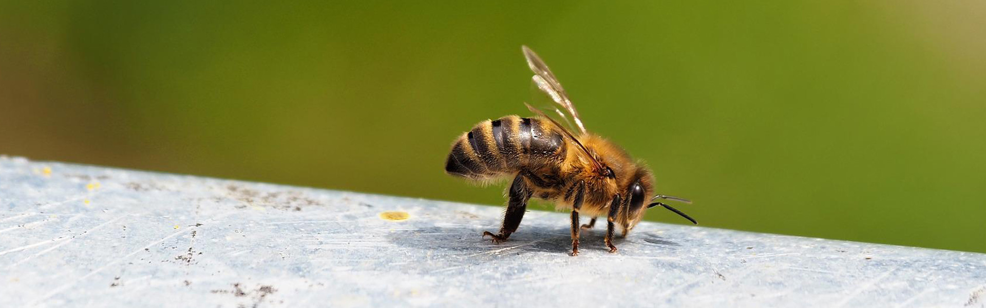 開(kāi)發(fā)好產(chǎn)品造福為人民